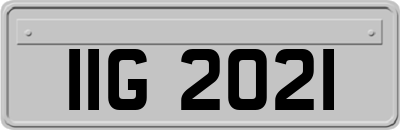 IIG2021
