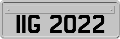IIG2022