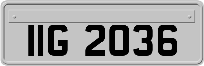 IIG2036