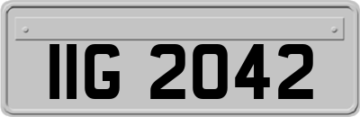 IIG2042