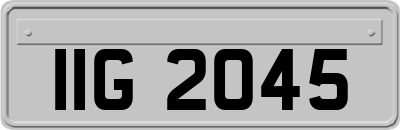 IIG2045