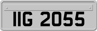 IIG2055