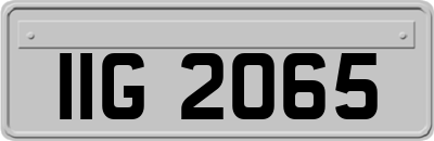 IIG2065