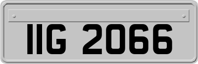 IIG2066