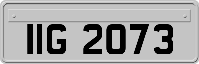 IIG2073