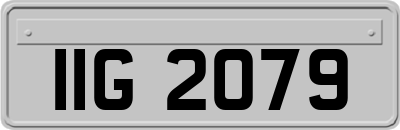 IIG2079