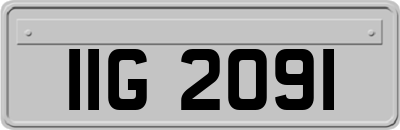 IIG2091