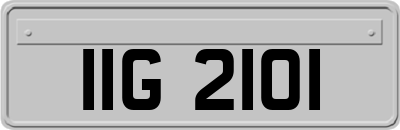 IIG2101