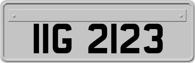 IIG2123