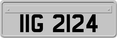 IIG2124