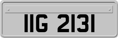 IIG2131