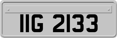 IIG2133