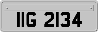 IIG2134