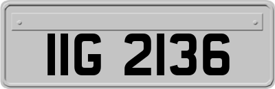 IIG2136