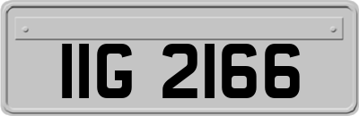 IIG2166