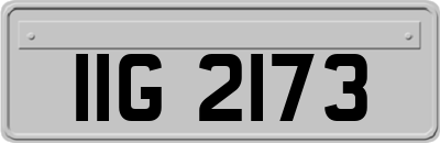 IIG2173