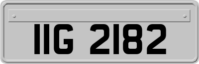 IIG2182