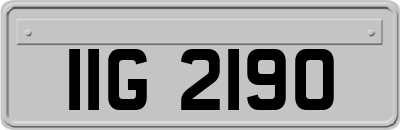 IIG2190