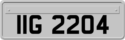 IIG2204