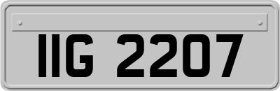 IIG2207