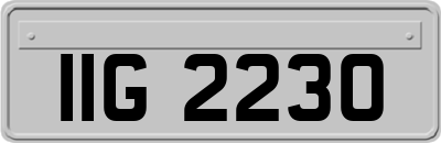 IIG2230