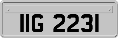 IIG2231
