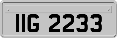 IIG2233