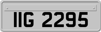 IIG2295