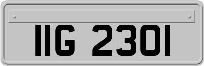 IIG2301