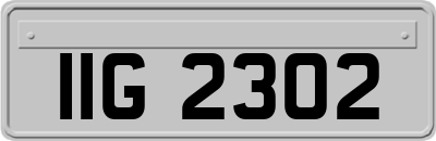 IIG2302