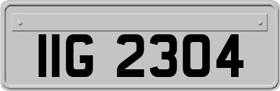 IIG2304