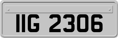 IIG2306