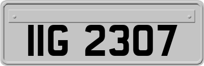IIG2307