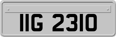 IIG2310