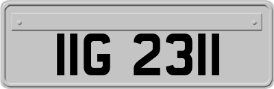 IIG2311