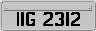 IIG2312