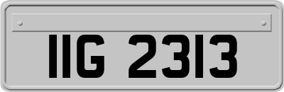 IIG2313