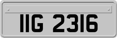 IIG2316