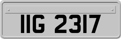 IIG2317