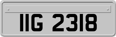 IIG2318