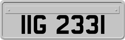 IIG2331