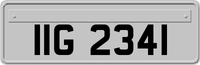 IIG2341