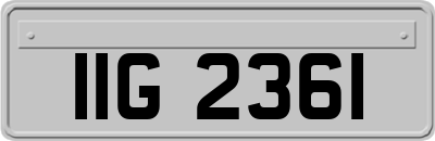 IIG2361