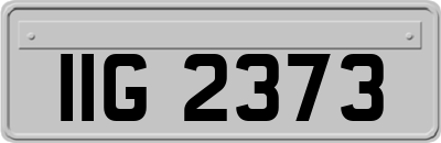 IIG2373