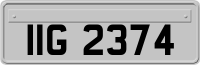IIG2374