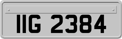 IIG2384