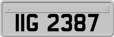 IIG2387