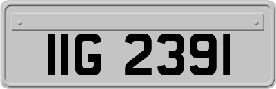IIG2391