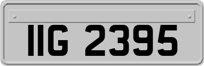 IIG2395