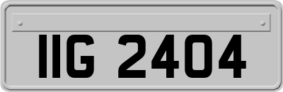 IIG2404